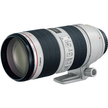 Canon EF 70-200mm f/2.8 Canon EF 70-200mm f/2.8